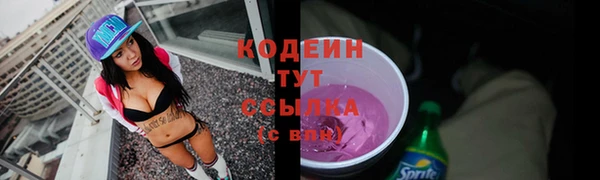 мет Бородино