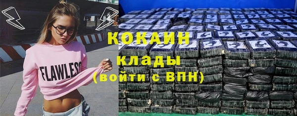 мет Бородино