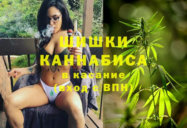 мдпв Волоколамск