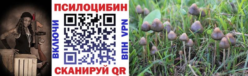 Купить  Арск  Галлюциногенные грибы мухоморы 